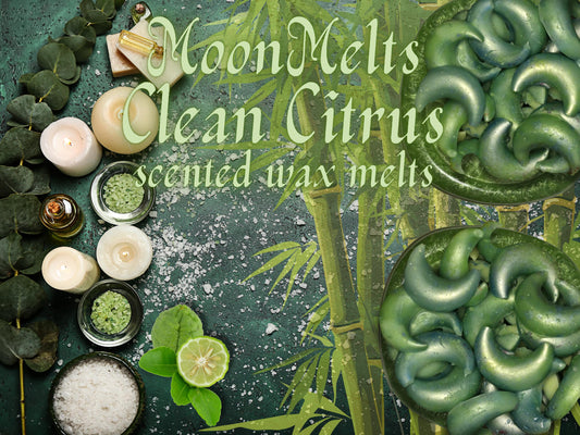 Clean Citrus – Moon Melts | Handcrafted Soy Wax Melts with Natural Essential Oils | Eco-Friendly, Long-Lasting Aromatherapy for Self-Care